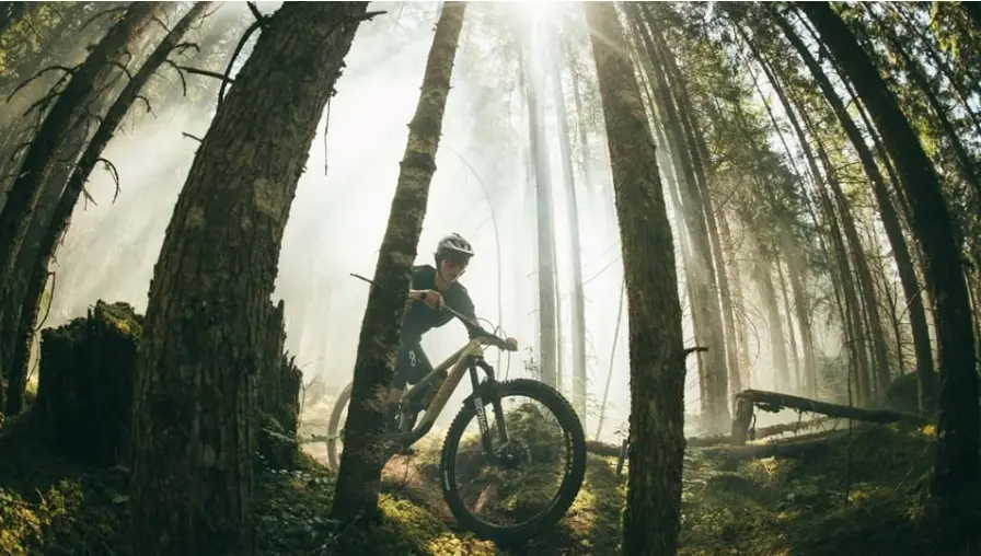 Screenshot 2026-04-23 at 3.54.18 p.m..webp