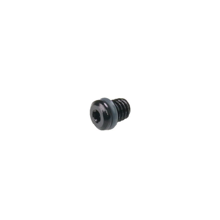 TRP - Lever Bleed Screw Short M6x5.5