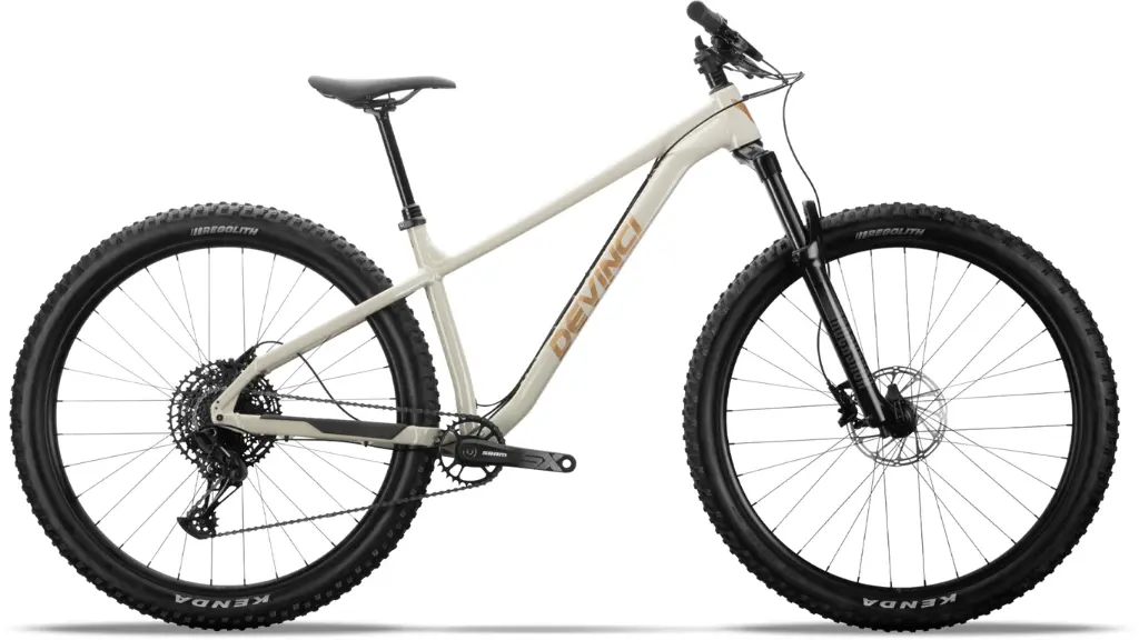 DEVINCI - Bike Kobain SX 12s Stoneware bronze - LG