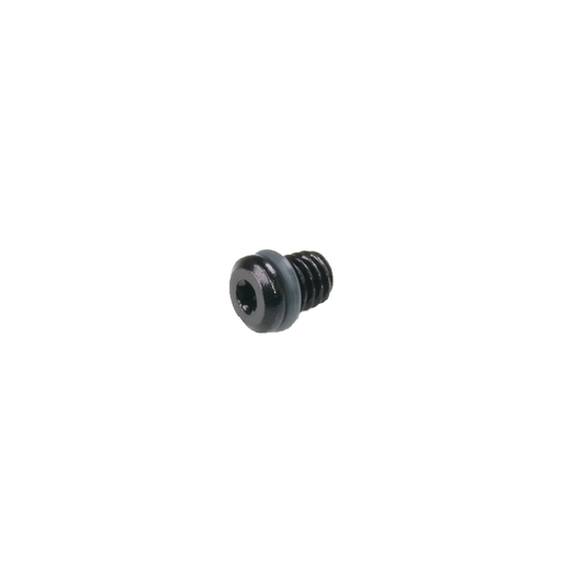 [PABK2500] TRP - Lever Bleed Screw Short M6x5.5